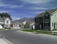 Garden Spiders in American Fork, UT